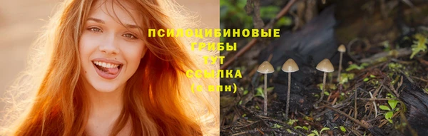 герыч Алексин