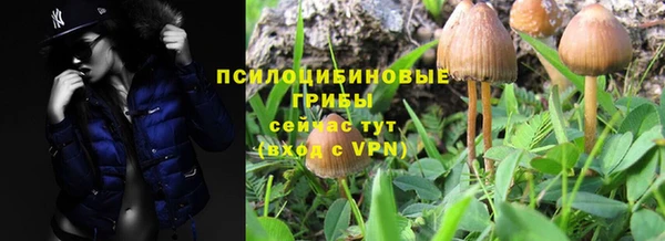 герыч Алексин