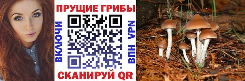 Псилоцибиновые грибы GOLDEN TEACHER  МЕГА ссылка  Анадырь 
